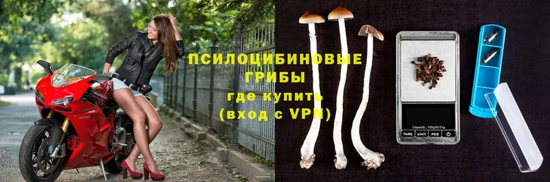 Галлюциногенные грибы прущие грибы  купить   Малая Вишера 